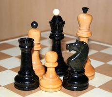 29.05.2013 - Личное первенство Республики Калмыкия по быстрым шахматам среди детей с ограниченными возможностями здоровья